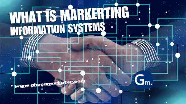 What are Marketing Information Systems?